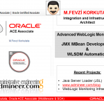 TROUG Presentation: Advanced WebLogic Monitoring: Custom WebLogic JMX Development and DevOps Automation TROUG Presentation: Advanced WebLogic Monitoring: Custom WebLogic JMX Development and DevOps Automation